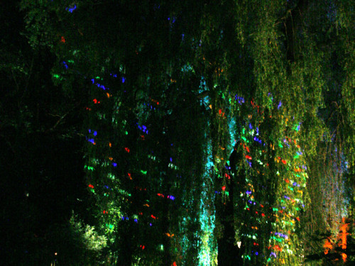 Nacht der Sinne 2013 – Foto 382