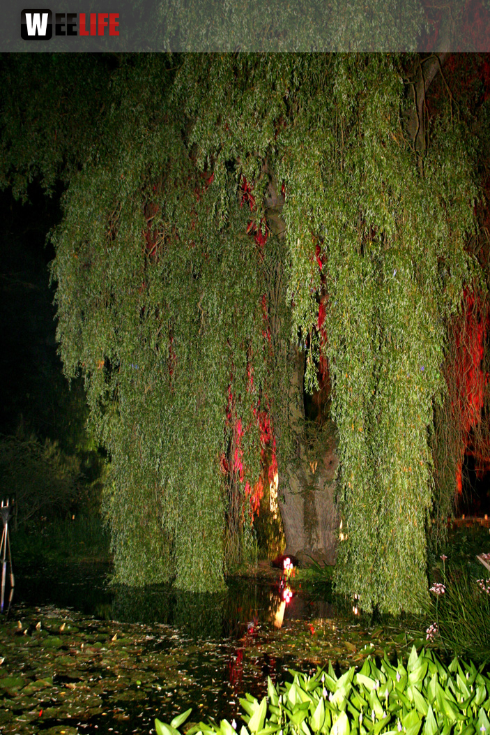 Nacht der Sinne 2013