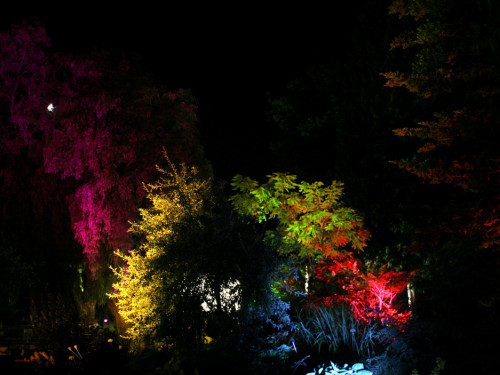 Nacht der Sinne 2013 – Foto 386