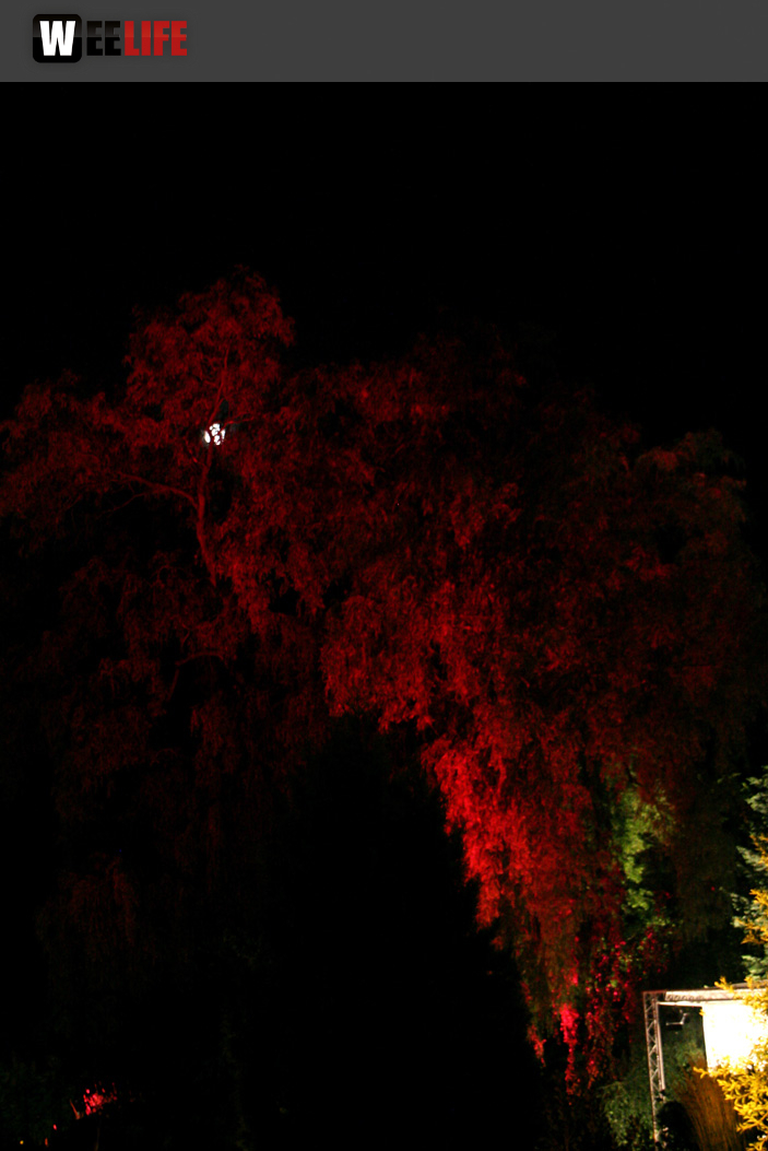 Nacht der Sinne 2013