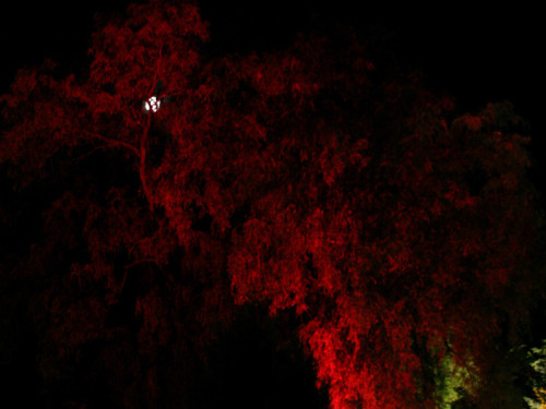Nacht der Sinne 2013 – Foto 387