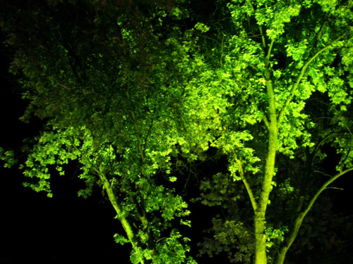 Nacht der Sinne 2013 – Foto 388