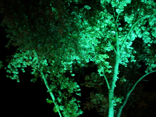 Nacht der Sinne 2013 – Foto 389