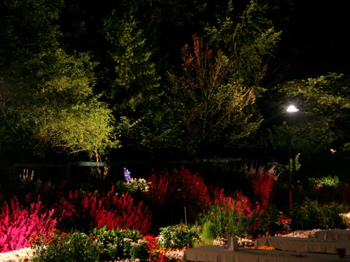 Nacht der Sinne 2013 – Foto 390