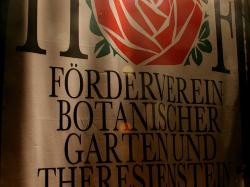 Nacht der Sinne 2013 – Foto 392
