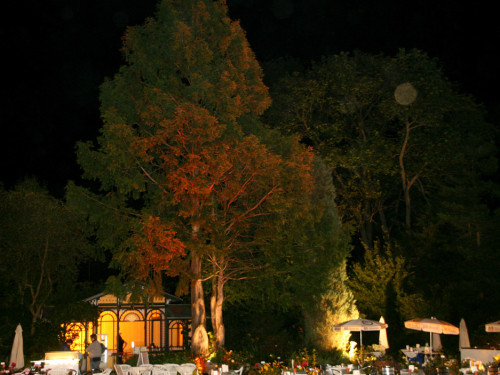 Nacht der Sinne 2013 – Foto 394