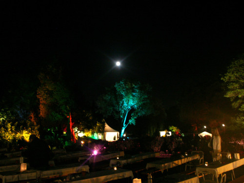 Nacht der Sinne 2013 – Foto 395