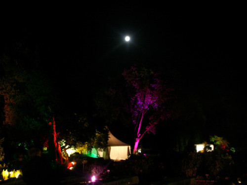 Nacht der Sinne 2013 – Foto 396