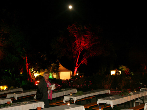 Nacht der Sinne 2013 – Foto 397