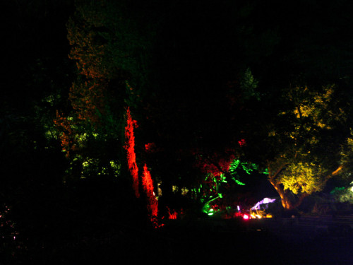 Nacht der Sinne 2013 – Foto 399