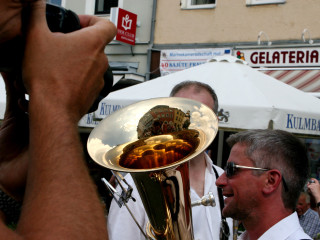 Foto 51776 im Album