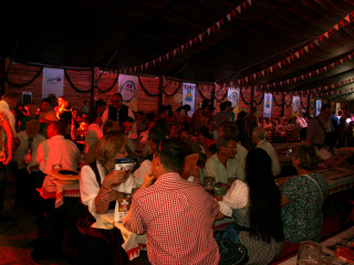 Foto 52503 im Album