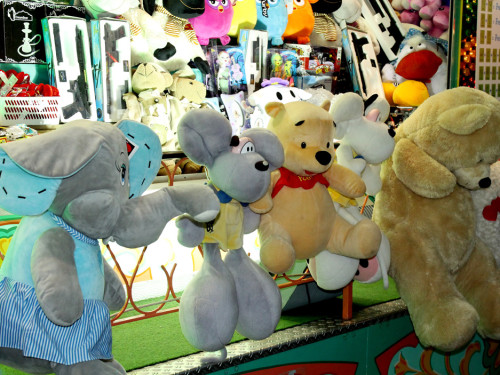 Hofer Volksfest 2013 – Foto 24