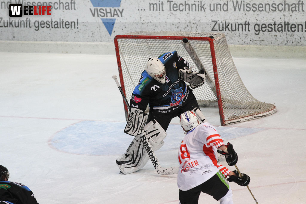 Selber Wölfe - EV Regensburg