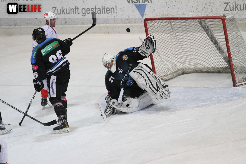 Selber Wölfe - EV Regensburg