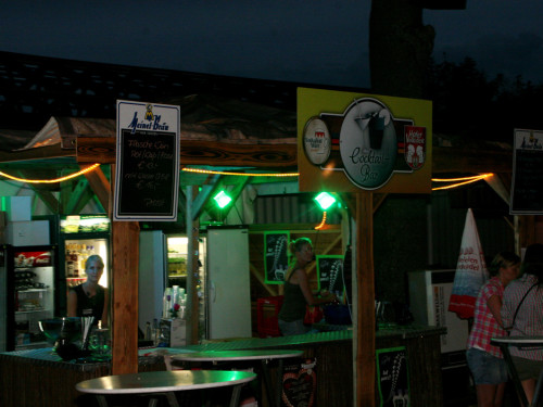 Hofer Volksfest 2013 - 3. Tag Abends Festbetrieb mit Partyteufel – Foto 26
