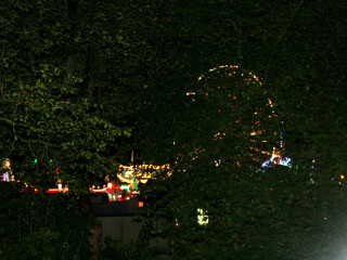 Foto 54936 im Album