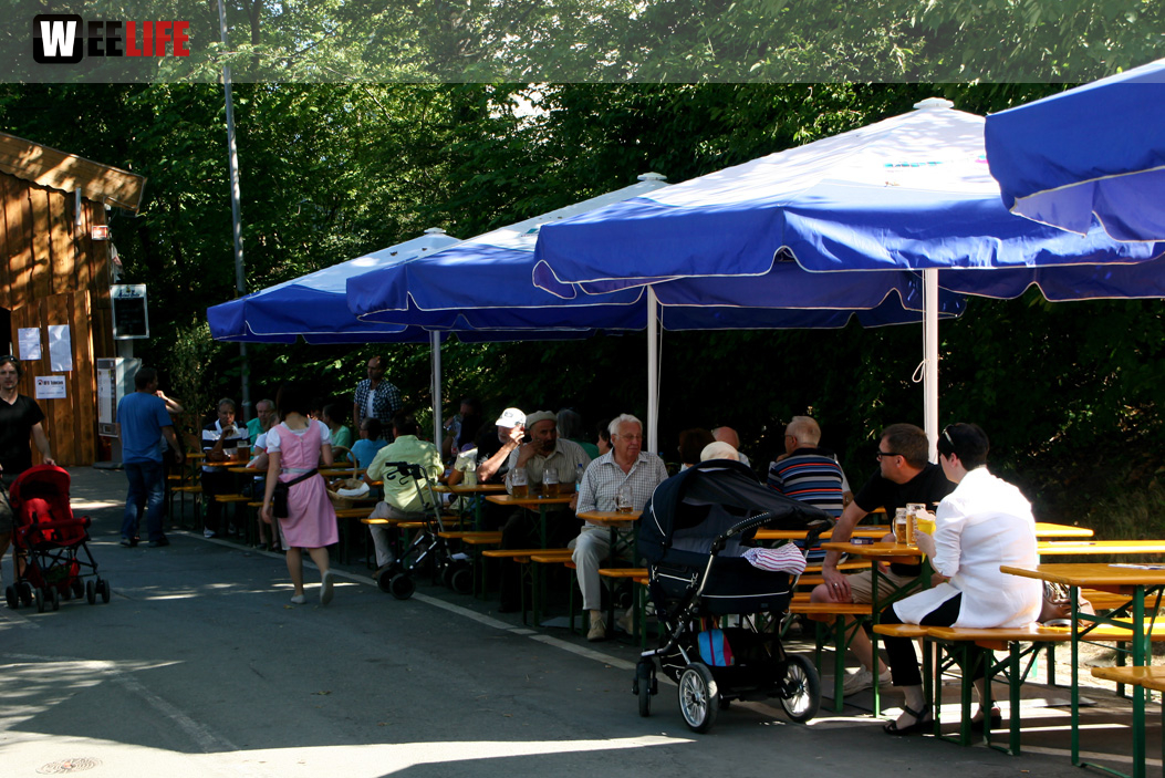 Hofer Volksfest 2013 - 7. Tag - Tag der Betriebe Nachmittag 