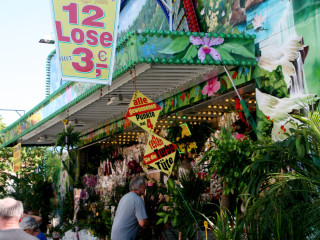 Foto 56019 im Album