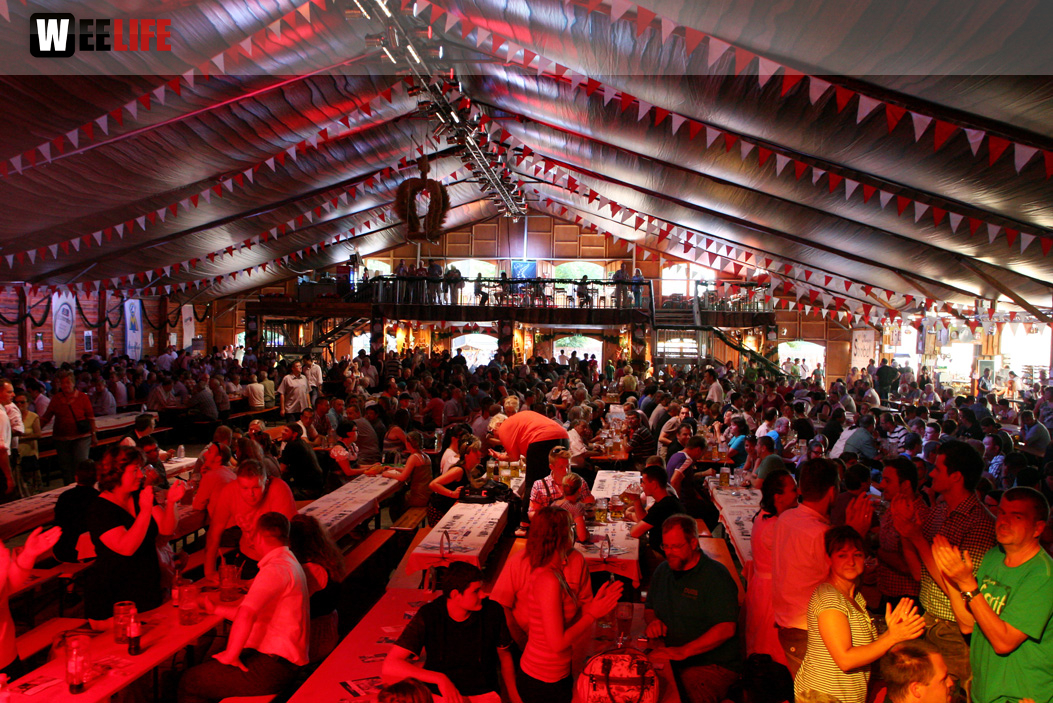 Hofer Volksfest 2013 - 7. Tag - Tag der Betriebe Nachmittag 