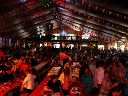 Hofer Volksfest 2013 - 7. Tag - Tag der Betriebe Nachmittag  – Foto 184