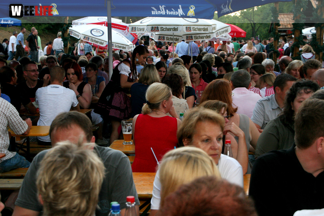Hofer Volksfest 2013 - 7. Tag Abends Tag der Betriebe mit den Members 