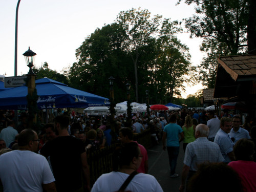 Hofer Volksfest 2013 - 8.Tag Abends Festbetrieb mit Biba und die Butzemänner – Foto 31