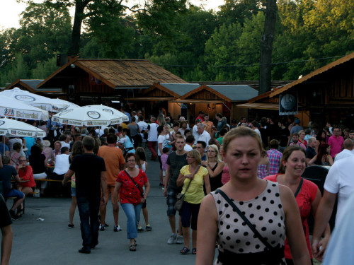 Hofer Volksfest 2013 - 8.Tag Abends Festbetrieb mit Biba und die Butzemänner – Foto 44