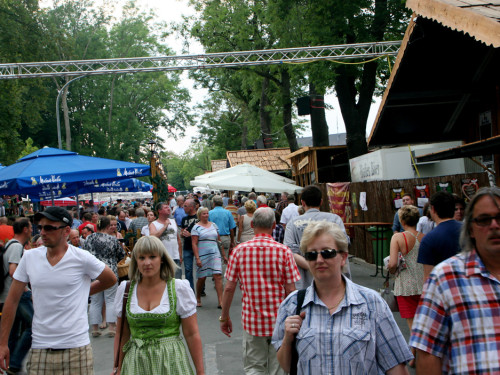 Hofer Volksfest 2013 - 9. Tag  Abends Nacht der Tracht mit Aischzeit – Foto 15