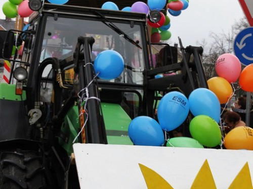 Rawetzer Narrenzug 2012 – Foto 3