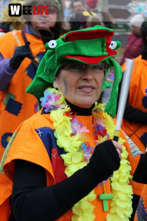 Rawetzer Narrenzug 2012