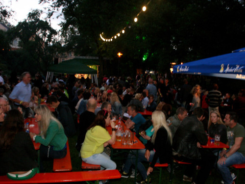 Saaleauenfest 2013 Abends Festbetrieb mit Wee Bush – Foto 35