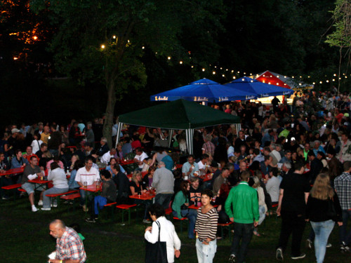Saaleauenfest 2013 Abends Festbetrieb mit Wee Bush – Foto 38
