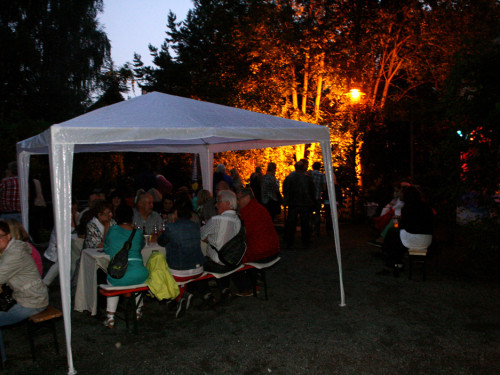 Saaleauenfest 2013 Abends Festbetrieb mit Wee Bush – Foto 40