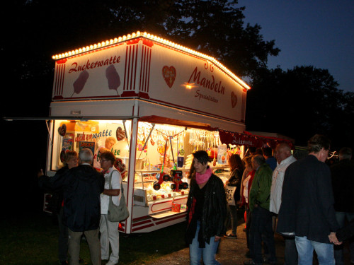 Saaleauenfest 2013 Abends Festbetrieb mit Wee Bush – Foto 44