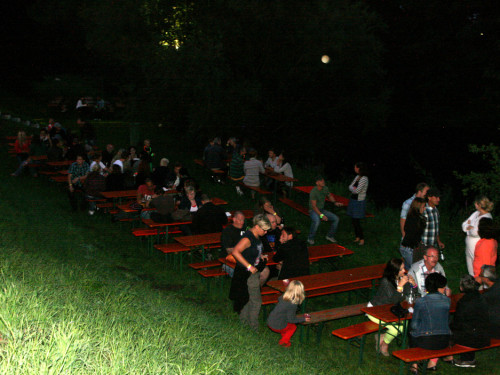 Saaleauenfest 2013 Abends Festbetrieb mit Wee Bush – Foto 45