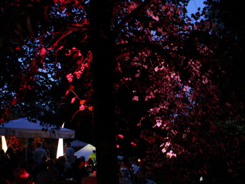 Saaleauenfest 2013 Abends Festbetrieb mit Wee Bush – Foto 46