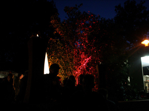 Saaleauenfest 2013 Abends Festbetrieb mit Wee Bush – Foto 52