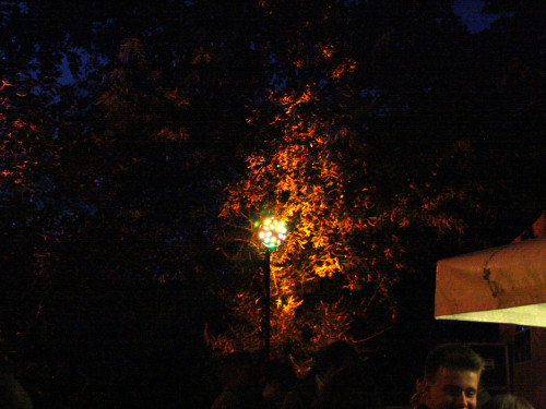 Saaleauenfest 2013 Abends Festbetrieb mit Wee Bush – Foto 53