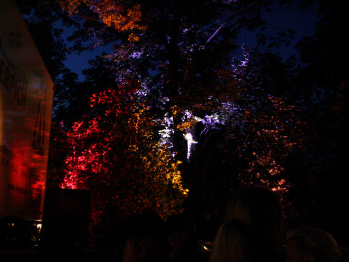 Saaleauenfest 2013 Abends Festbetrieb mit Wee Bush – Foto 54