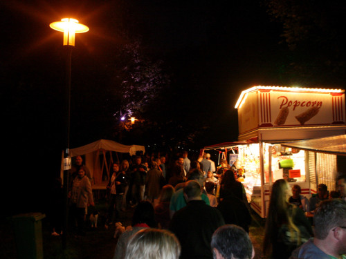 Saaleauenfest 2013 Abends Festbetrieb mit Wee Bush – Foto 57