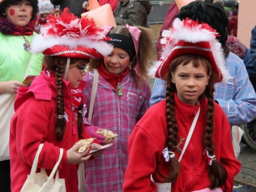 Rawetzer Narrenzug 2012 – Foto 33
