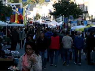 Foto 58819 im Album