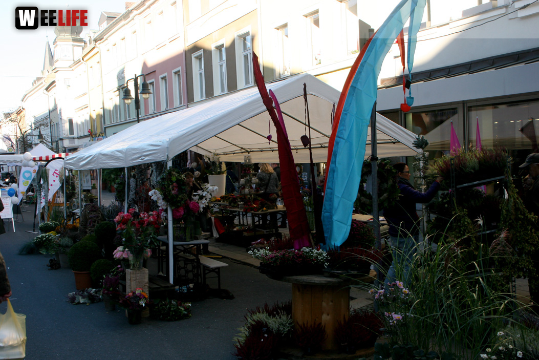 Hofer Herbstmarkt