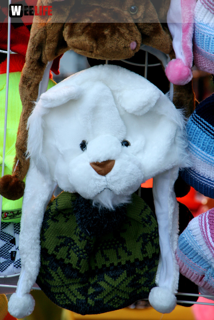 Hofer Herbstmarkt
