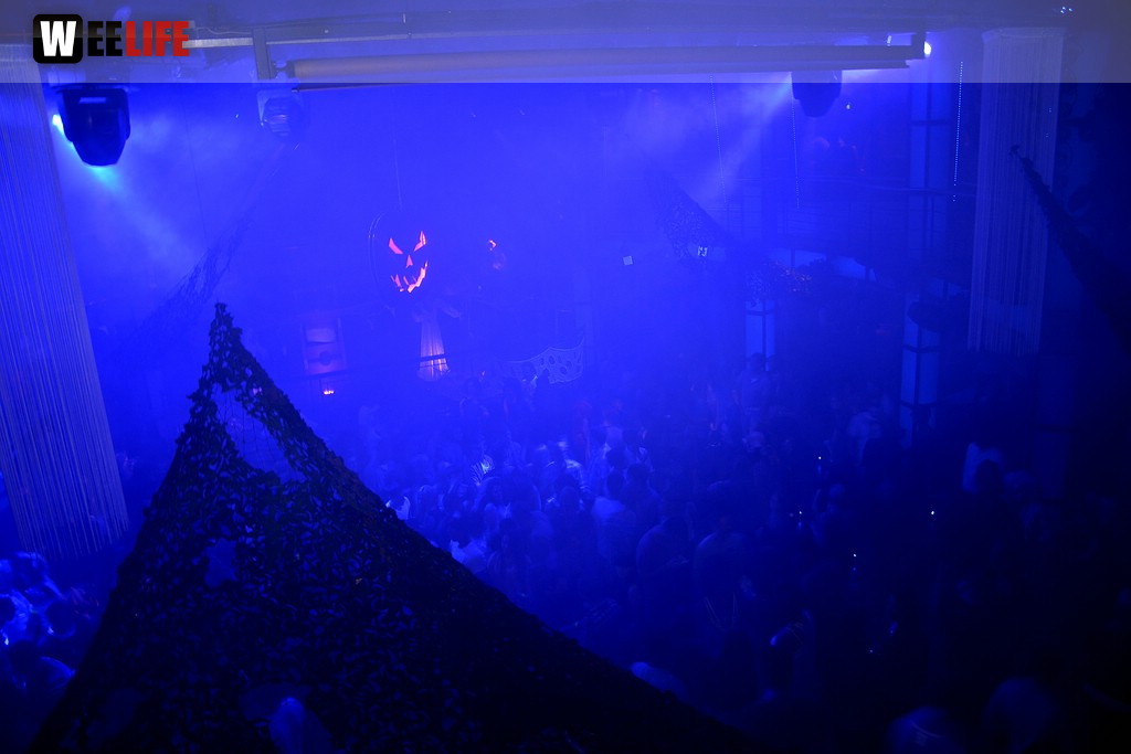 Halloween Ehem. Halifax