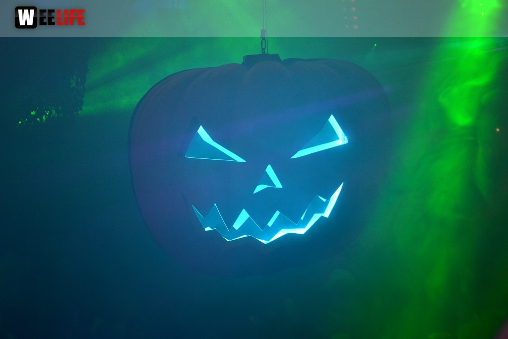Halloween Ehem. Halifax
