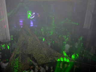 Foto 59206 im Album