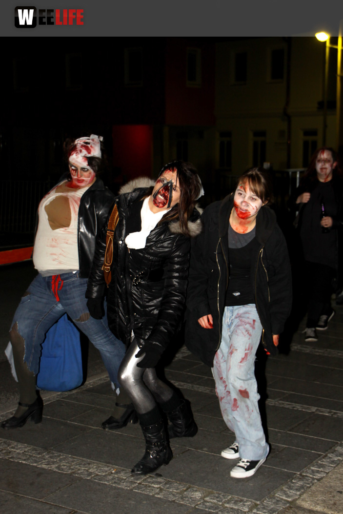 1. Hofer Zombiewalk