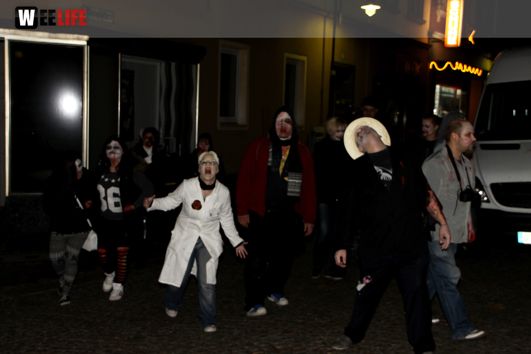 1. Hofer Zombiewalk